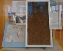 2 Profil obere Schichten eiszeitliches Schotterbett des Mains und der Kinzig Hanau